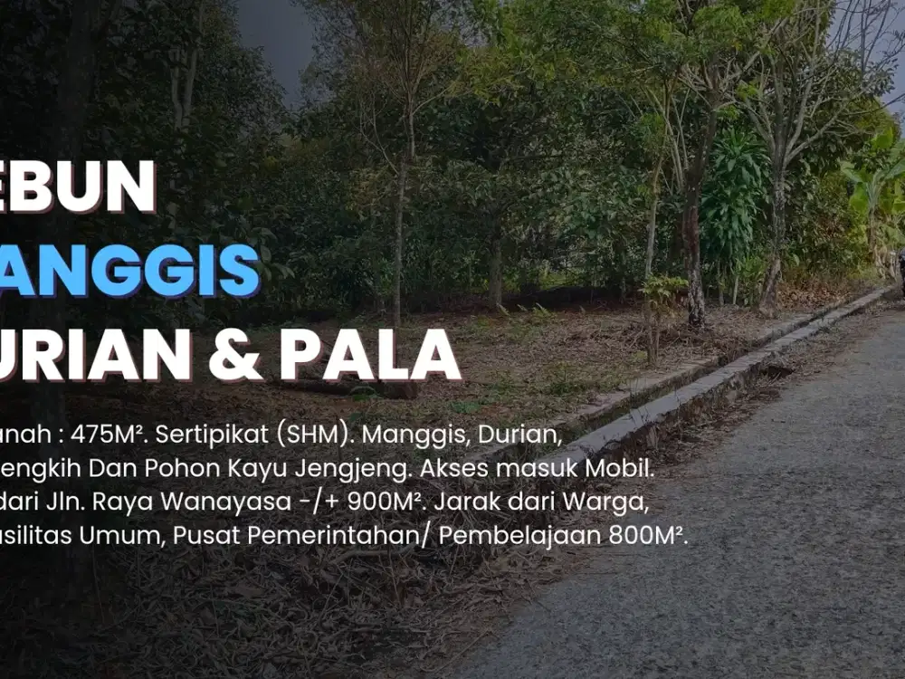 Tanah Murah || Manggis, Durian Dan Pohon Cengkeh Di Wanayasa