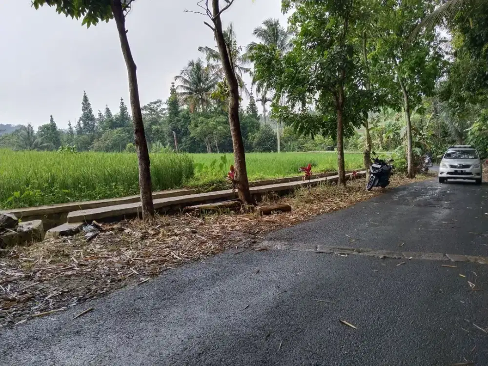 DIJUAL SAWAH 3X PANEN - SAWAH PRODUKTIF - VIEW ALAM HIJAU DAN GUNUNG.
