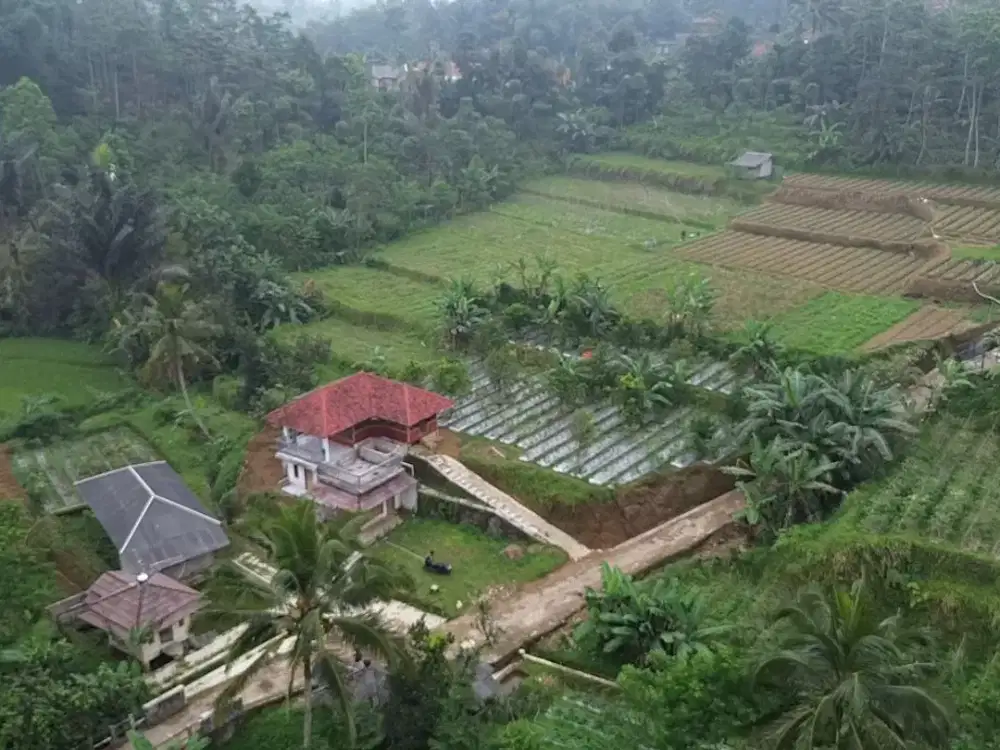 Vila - Kolam Ikan - Sungai Bersih || Dijual Vila Dan Kolam Ikan