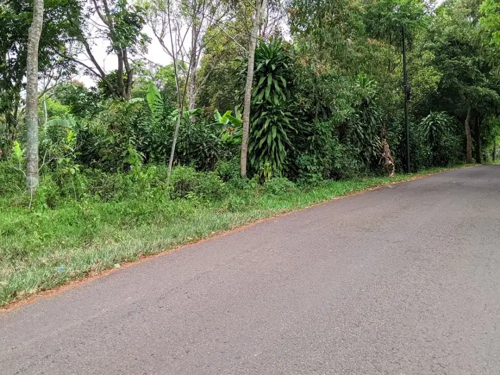 Jual tanah Datar di Jl. Raya Kiarapedes Wanayasa Purwakarta