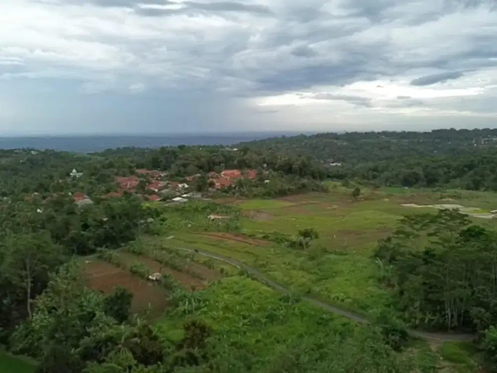 TANAH MURAH : Akses Mobil, Kebun Durian, Cengkeh Dan Tanah Kosong