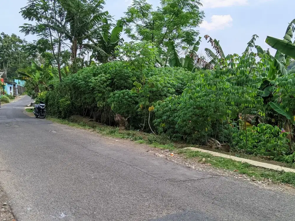 Jual Tanah Di Jl. Raya Kiarapedes Purwakarta