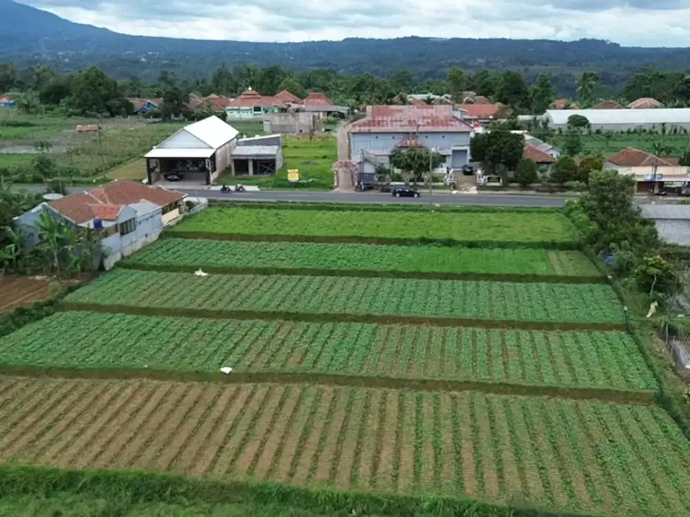 JUAL TANAH Di Jalan Raya Wanayasa Purwakarta