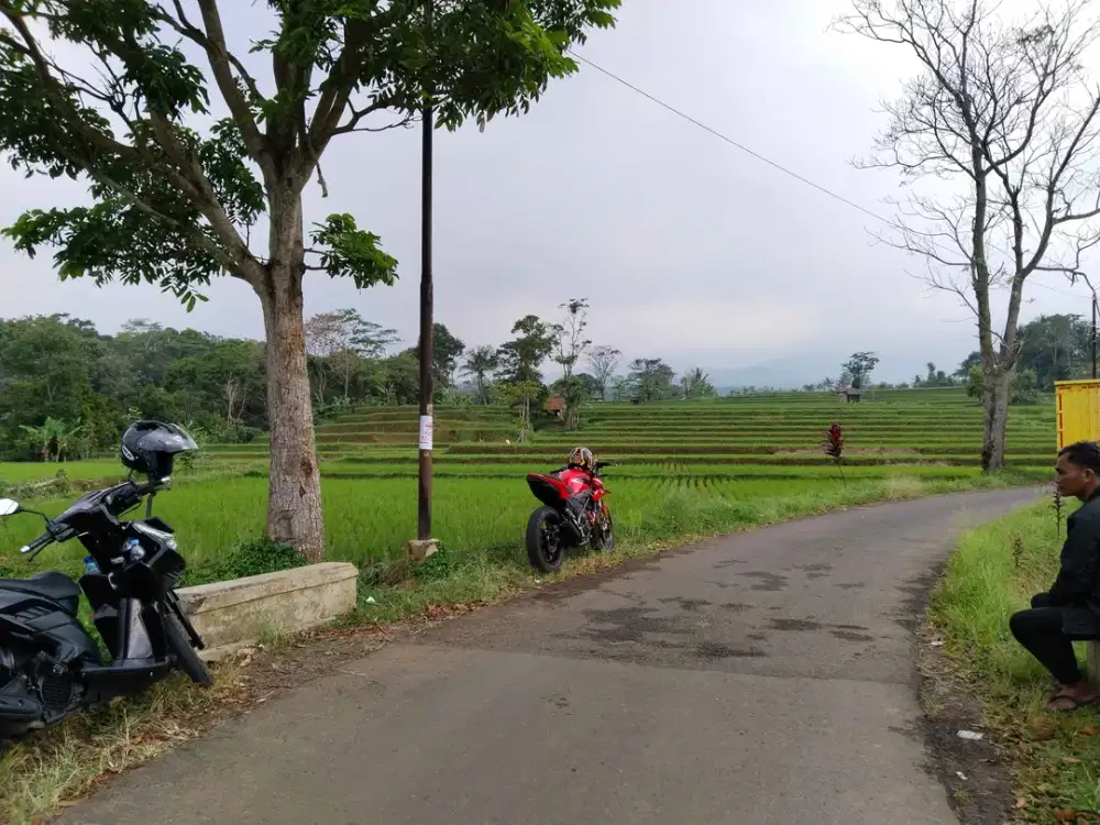 20 Meter Dari Jalan Mobil. Sawah Super Air Super. View Super.