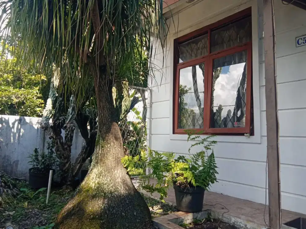 Rumah asri murah 800 jt di griya bukit mas, cikutra