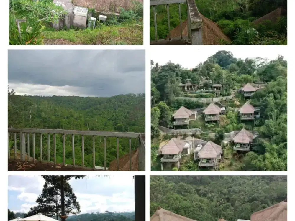 FOR SALE LAND GOOD VIEW-UBUD