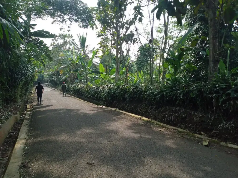 DIJUAL TANAH KWBUN, FULL  DATAR GDN LT : 2HA (SHM)