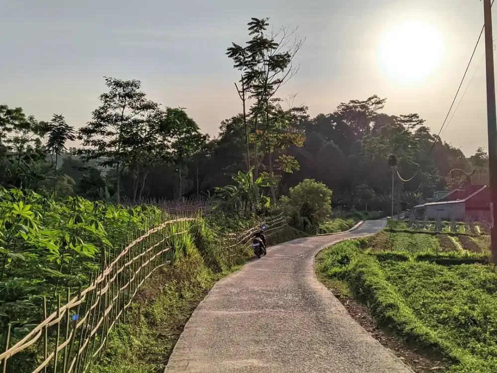 Jual tanah murah || Ketinggian 843 MDPL