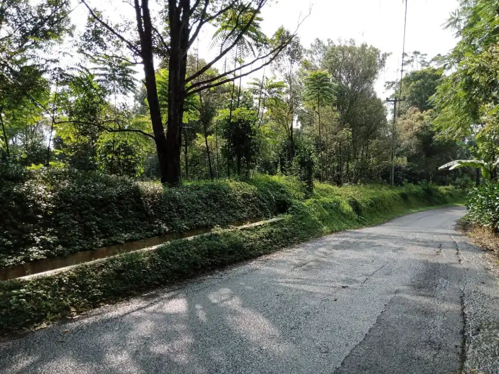 DIJUAL TANAH EBUN CEBGKEH DAN  KEBUN MANGGIS