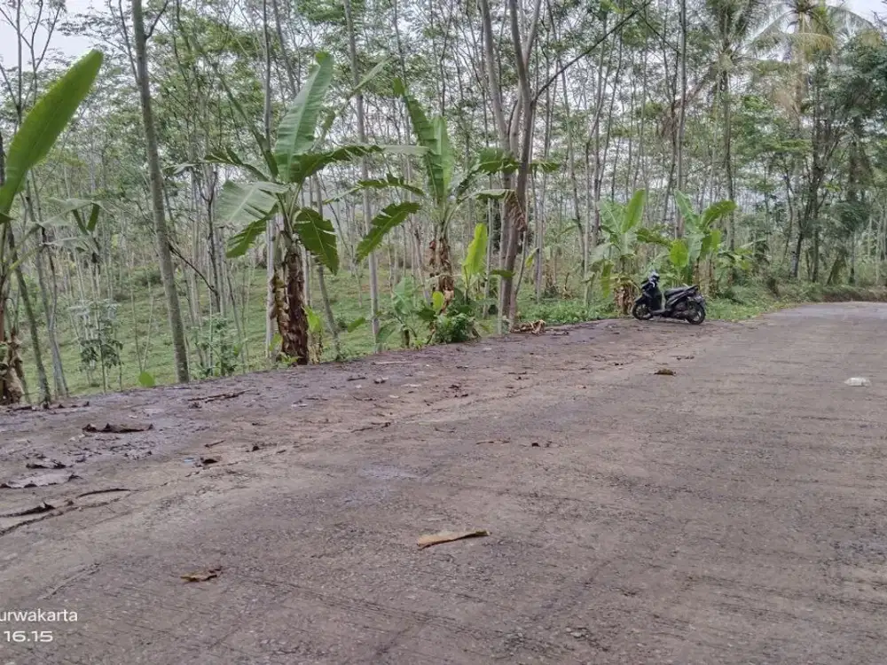 Rp. 150.000/M² Nego. Kebun Tanah Subur 400M² Dari Jalan Nasional