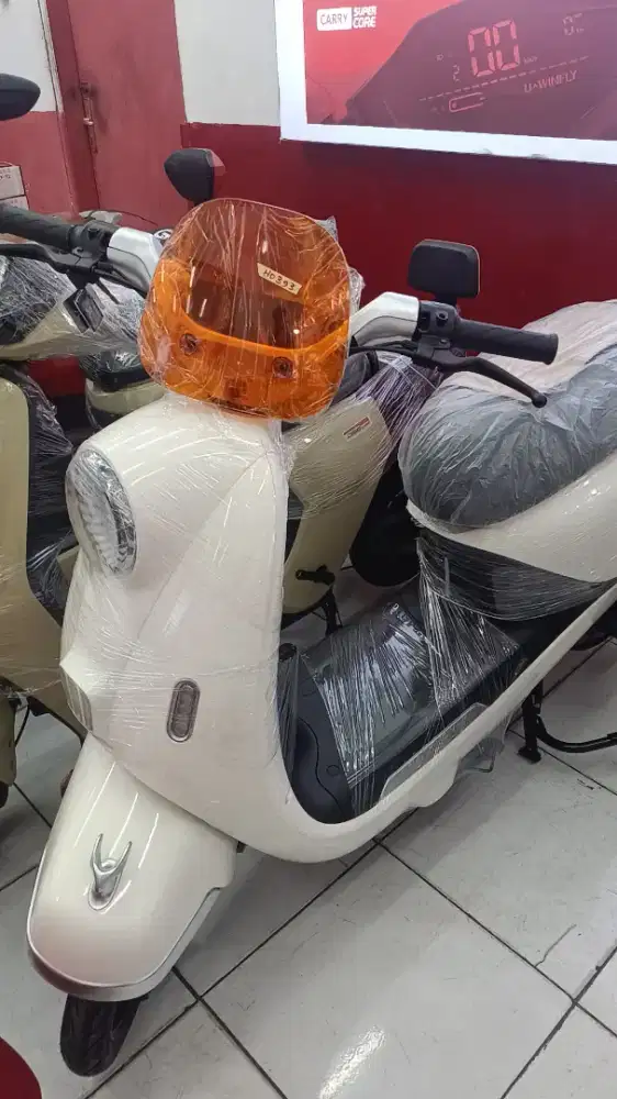 SELIS UWINFLY T65 LITHIUM