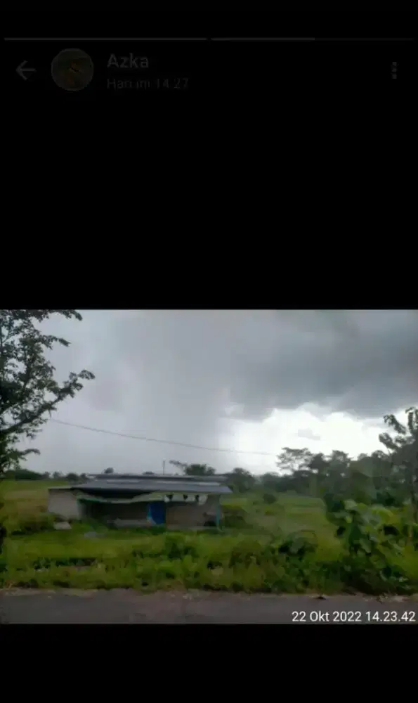 Dijual murah sawah 2650 ld 23m