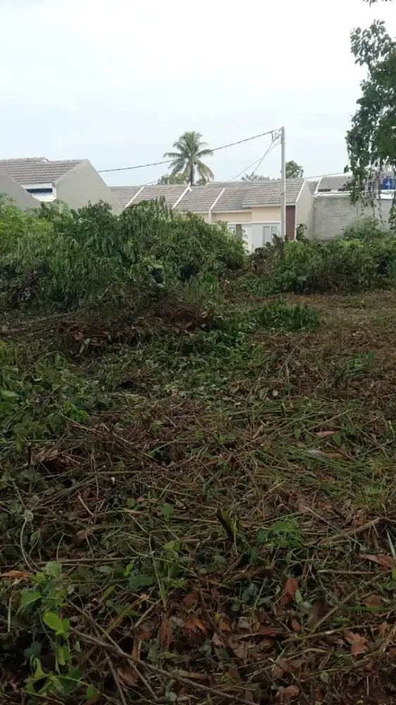 Jasa potong rumput taman kebon dll