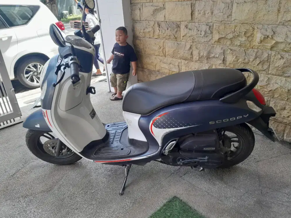 Scoopy apik murah cepat dapat