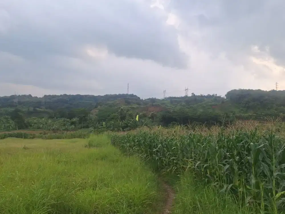 Dijual Tanah di Zona Industri Gringsing, Batang