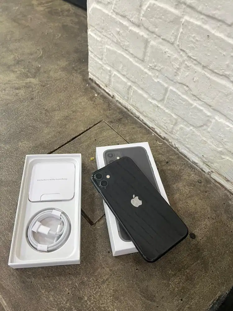 iphone 11 256gb warna alami