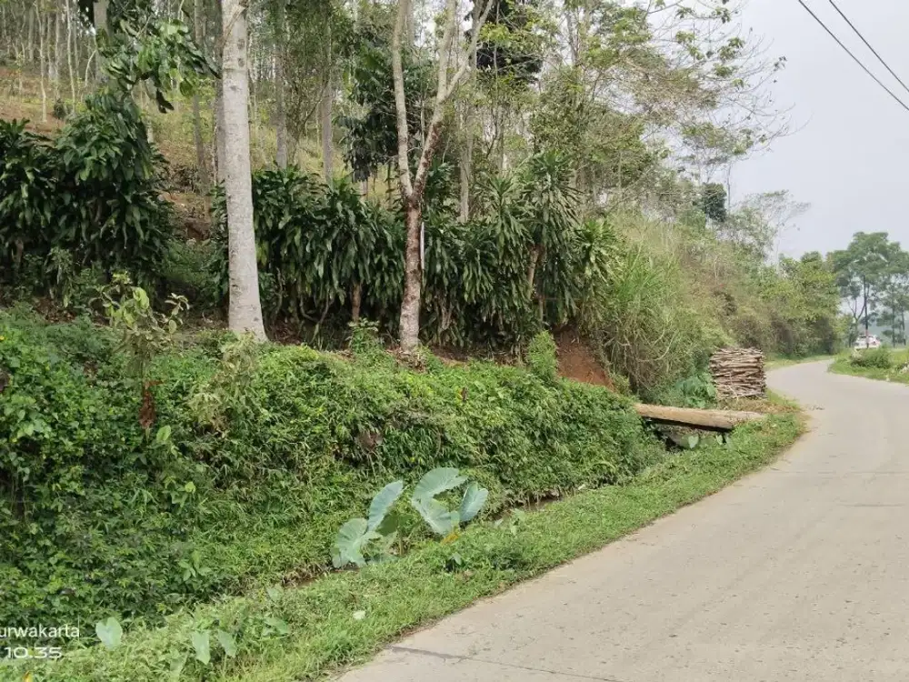 BUKIT PINUS, VIEW PEGUNUNGAN. AIR SUBUR UDARA SEJUK. Rp. 150 Rb/M²