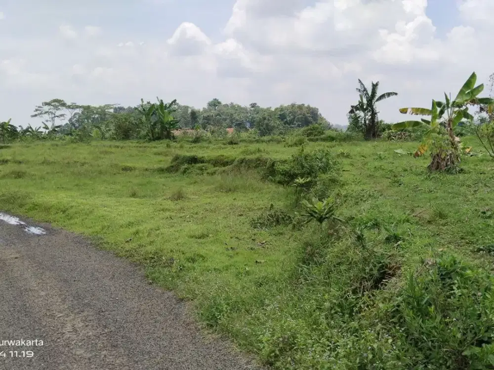 Rp. 150 Rb/M² Nego || TANAH SAWAH AKSES MOBIL, VIEW BAGUS, AIR SUBUR