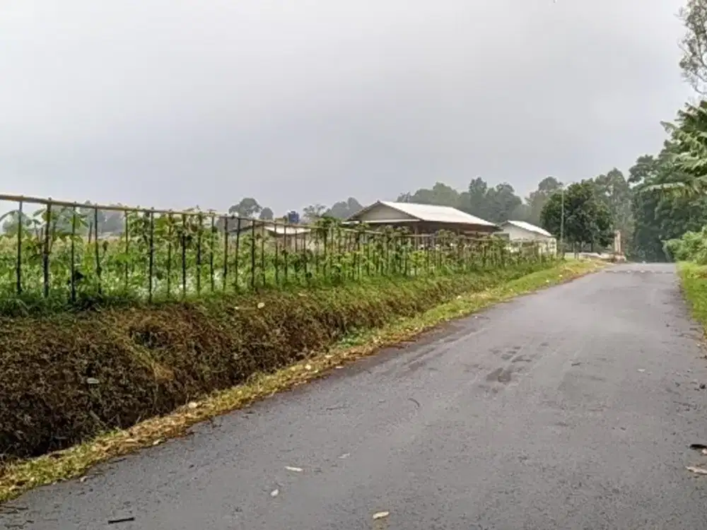 TANAH WANAYASA PURWAKARTA : Dijual Tanah Kebun Palawija Dekat Kuliner