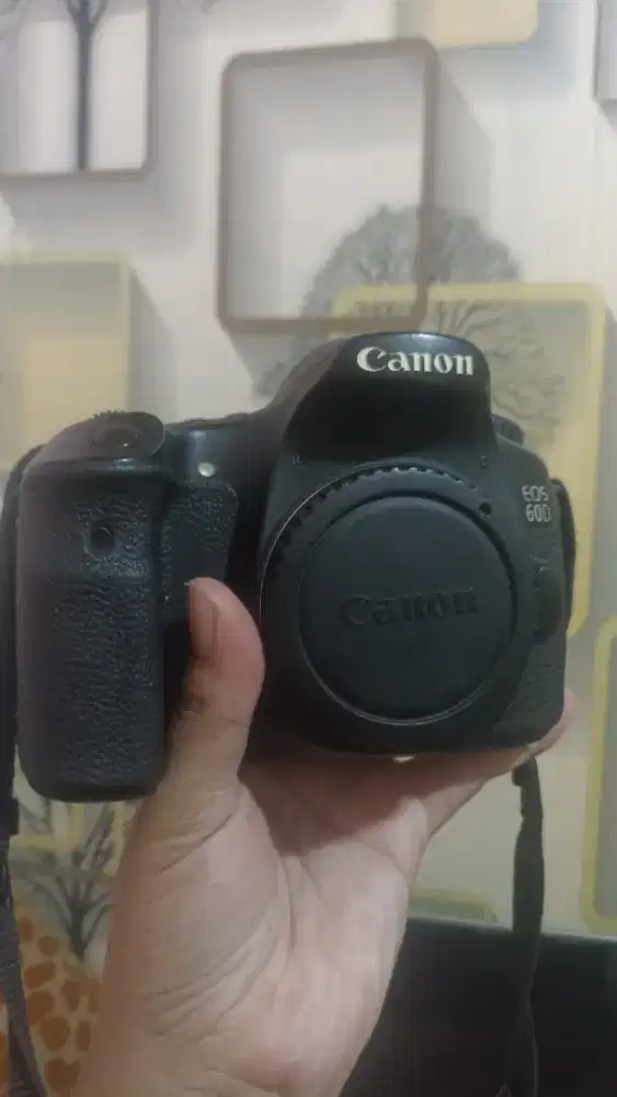 Canon 60D body only