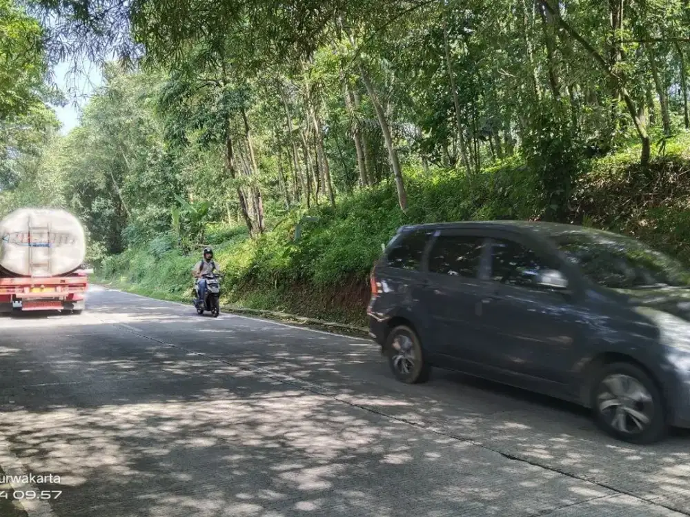 TANAH KEBUN  DI JL. RY. WANAYASA PURWAKARTA  UNTUK VILA, RES AREA DLL