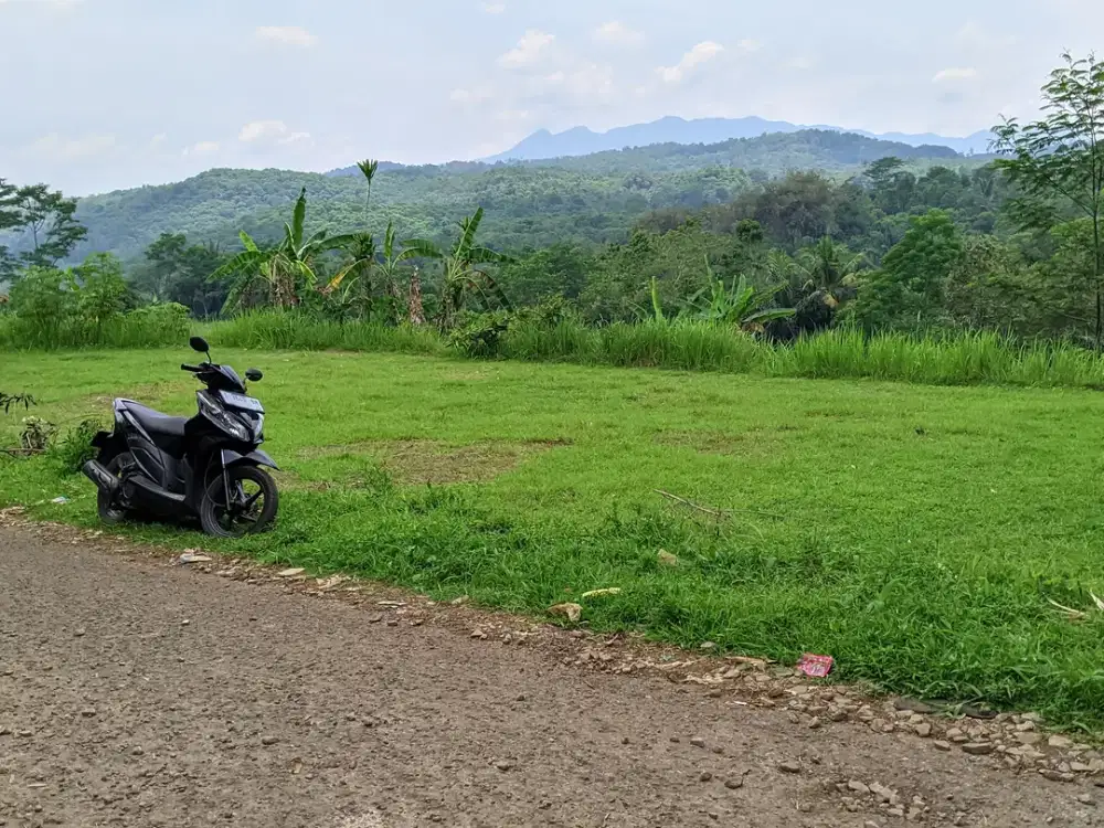 JUAL TANAH || SAWAH KIARAPEDES WANAYASA