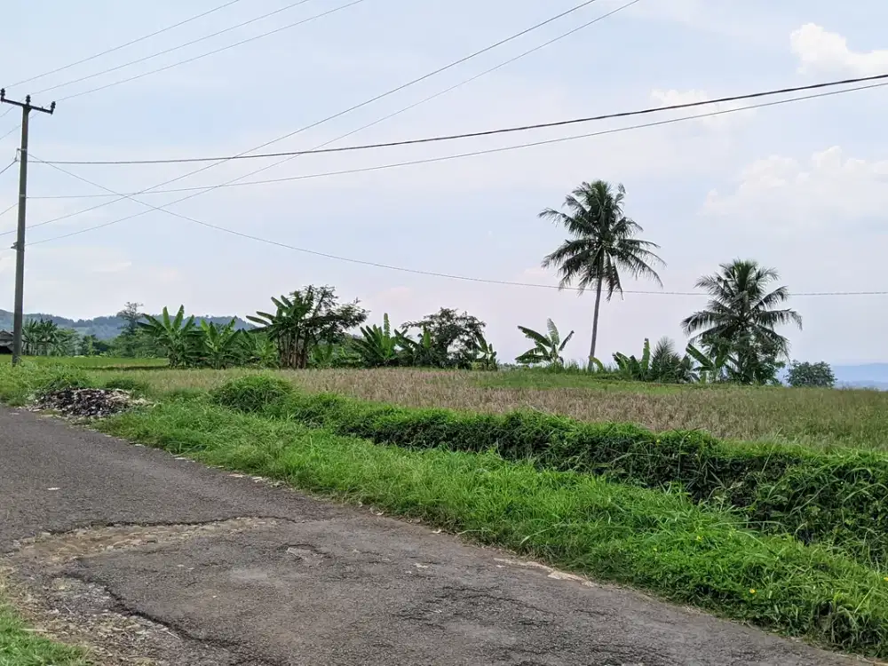 JUAL TANAH SAWAH || DI KIARAPEDES WANAYASA PURWAKARTA