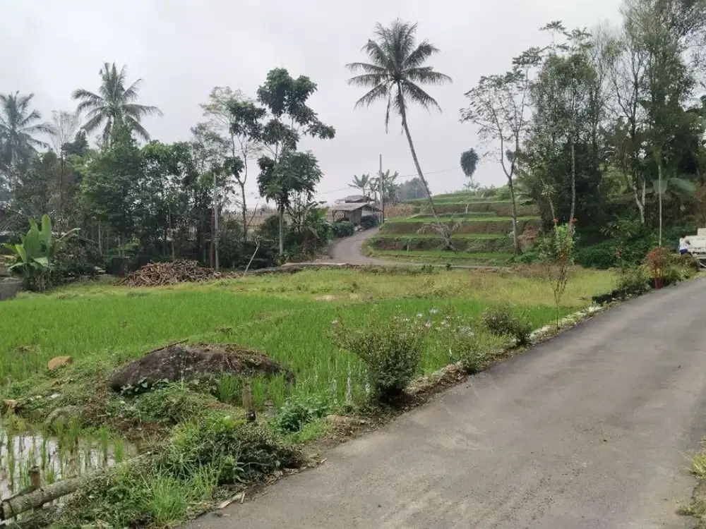 AIR BESAR BENING || LUAS TANAH SAWAH 1000M².
