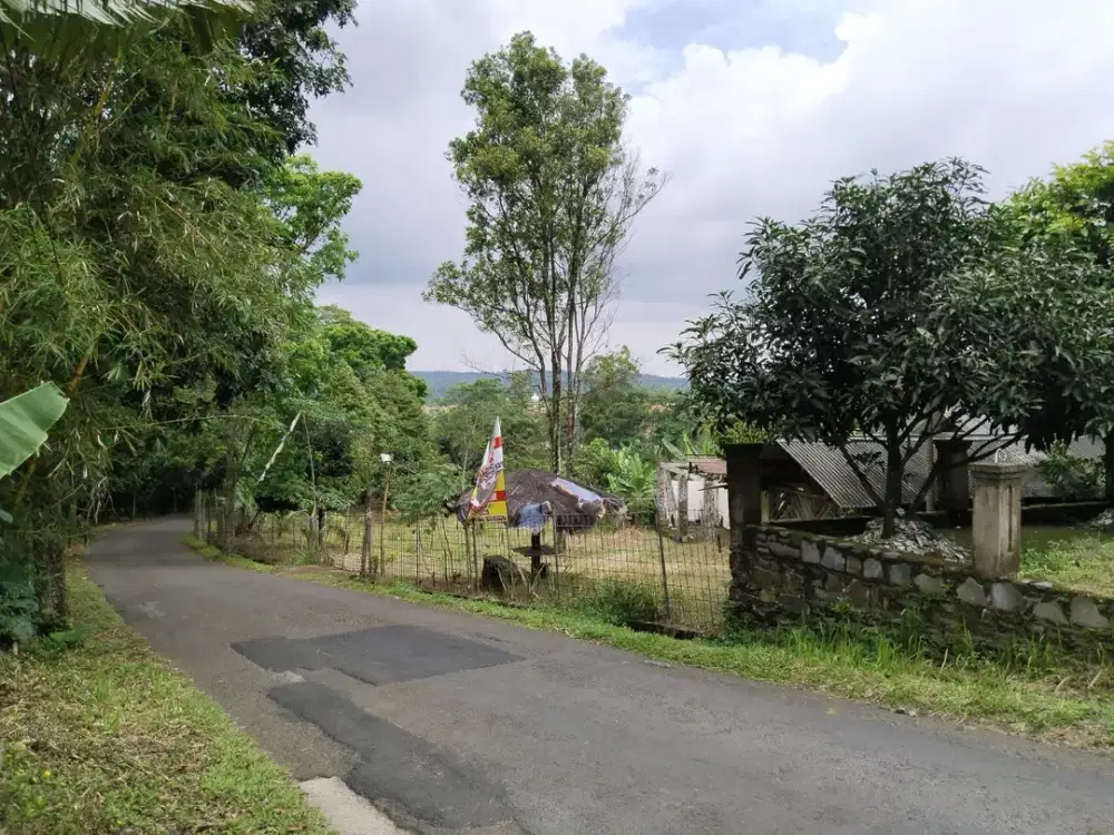 DIJUAL Tanah Kebun : Rumah, Saung, Mushola Dan Di Tanami Durian DLl