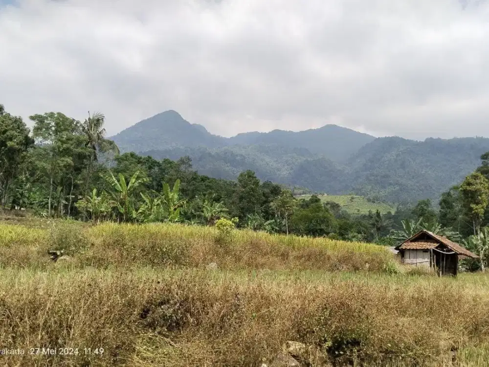SAWAH  VIEW GUNUNG  AIR MELIMPAH DI Kp. Wisata.