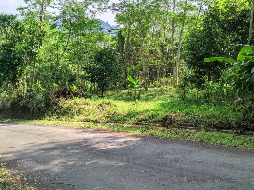 JUAL KEBUN MURAH || 1137M² || SERTIPIKAT (SHM).