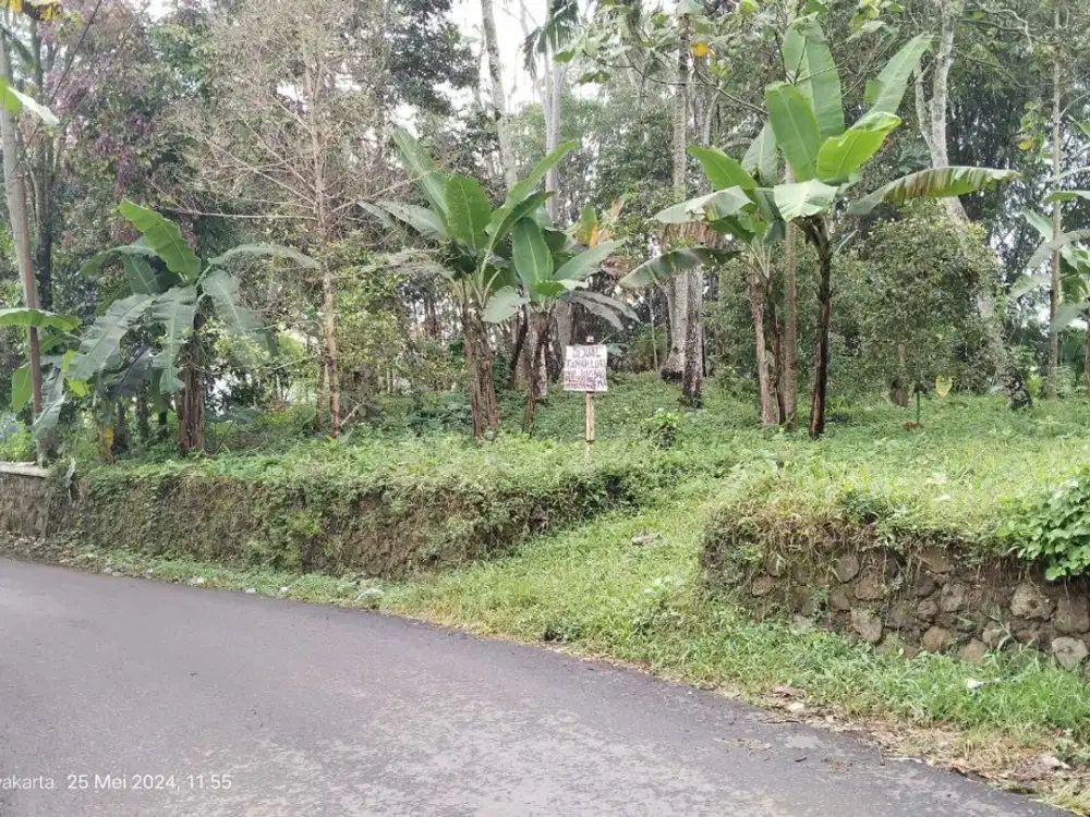 ADA AIR NGALIR || TANAH KEBUN DI PEDESAAN DEKAT SAWAT DAN RUMAH.