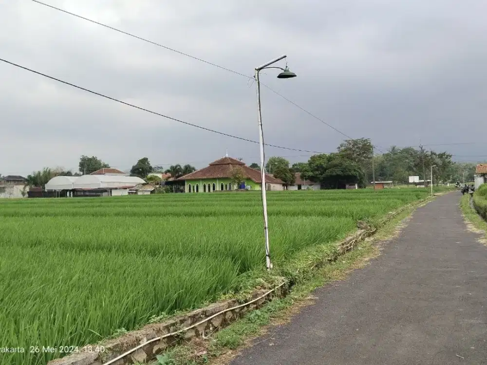 TANAH DATAR  SAWAH VIEW GUNUNG  PINGGIR JALAN RAYA