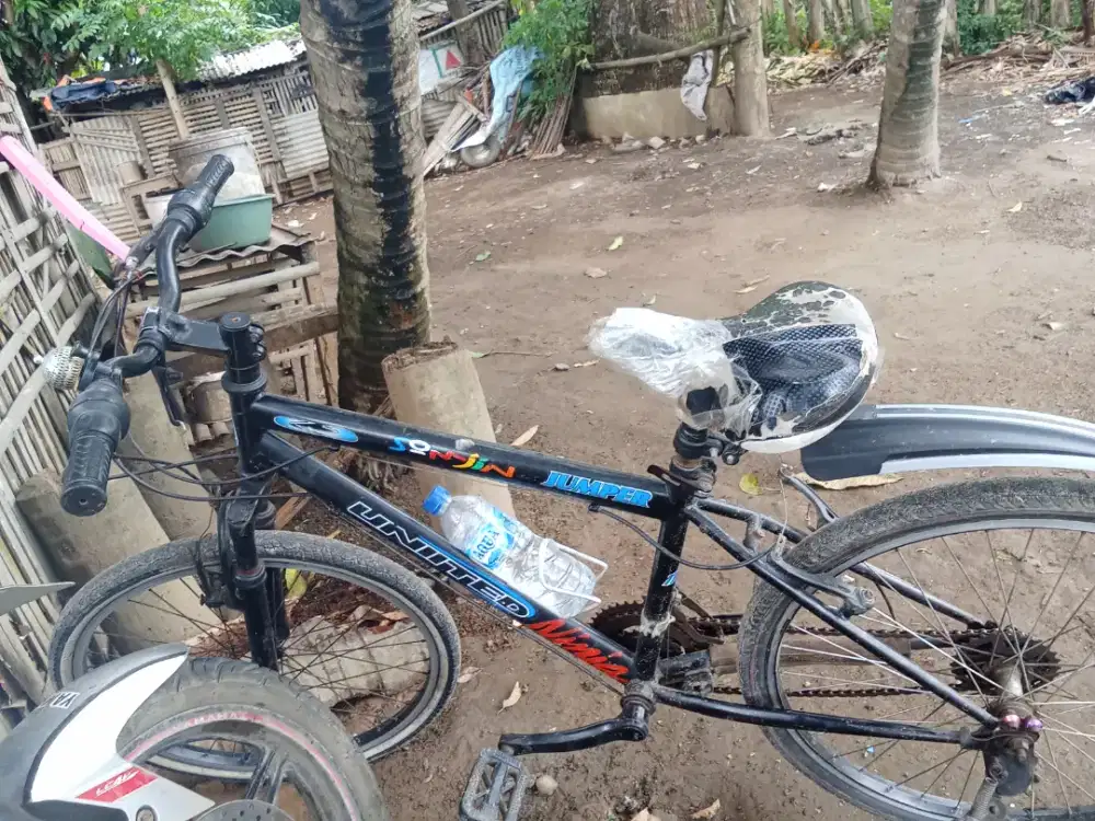 Sepeda Sepada Junitet