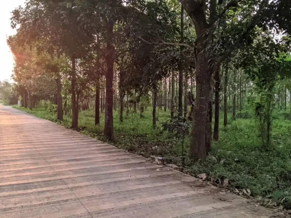 DIJUAL TANAH DATAR || HARGA DIBAWAH PASARAN