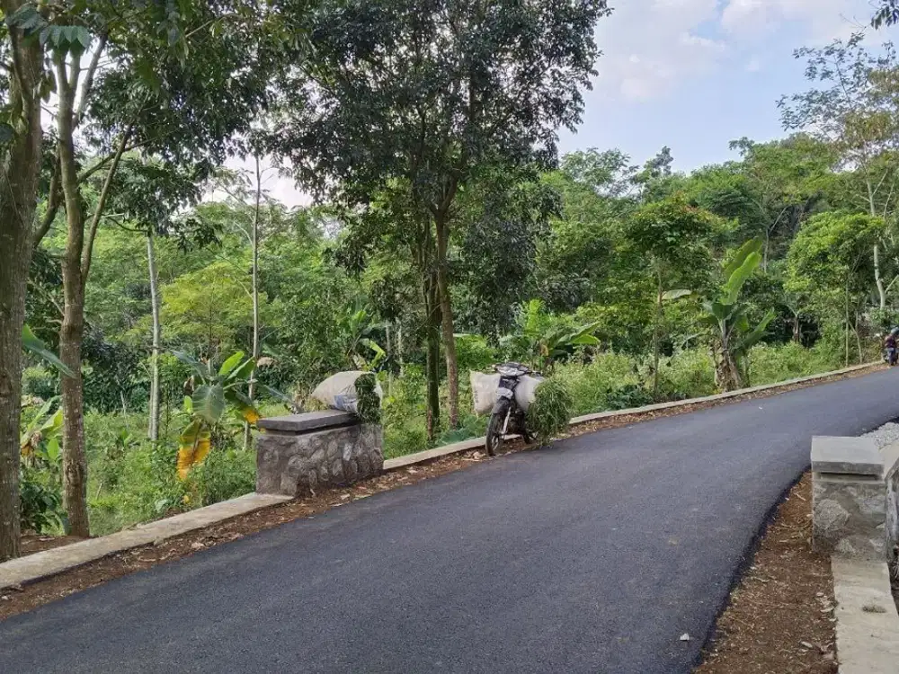 SEBELAH VILA KAYU  JL. HOTMIK  TANAH KEBUN KOSONG