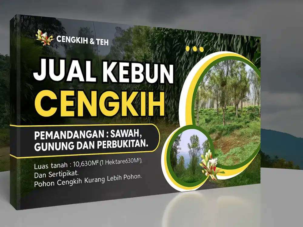 Kebun Cengkeh Dan Teh di Pinggir Jalan Wisata Siap Jadi Agrowisata