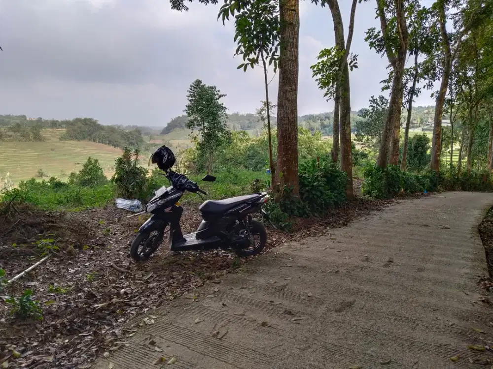 Dijual Tanah View Sawah Dan Gunung Burangrang