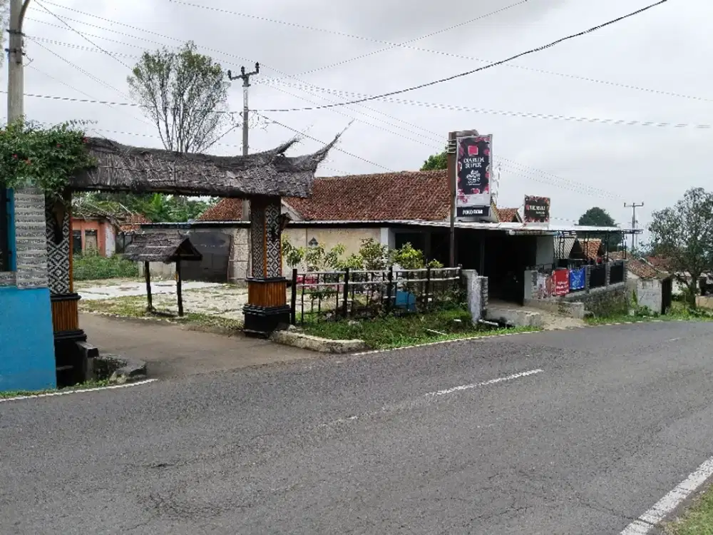 20M KE JL. RAYA WANAYASA || KEBUN MANGGIS, CENGKEH DAN CAMPURSARI.