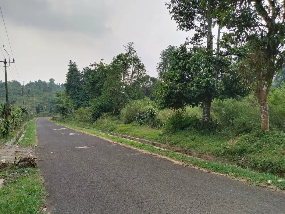 Akses Mobil - Luas Tanah 7,8Ha - SHM - Tanah Murah - Harga Dibawah