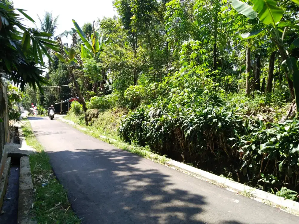 Jual Tanah Kebun Manggis Durian Pala Dan Cengkih. Lokasi Strategis