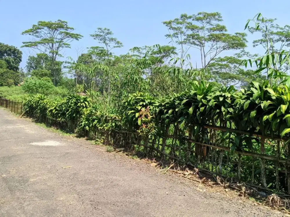 JUAL TANAH  KEBUN  SAMPING VILA