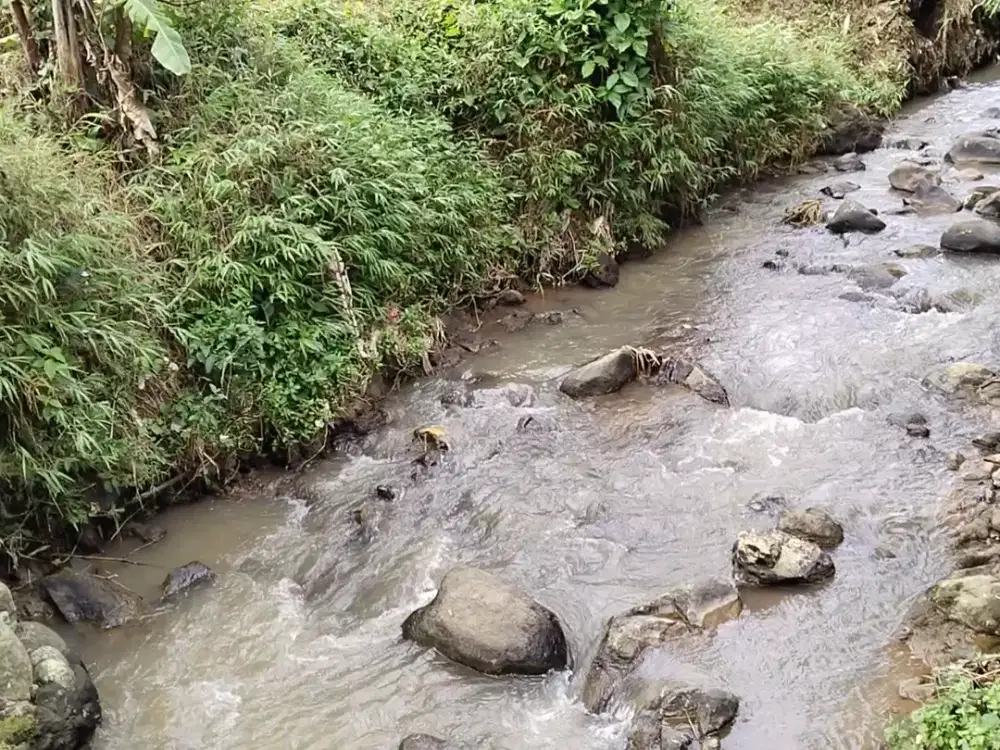DIJUAL SAWAH - SAUNG VIVILAAN - ADA SUNGAI - AIR MELIMPAH