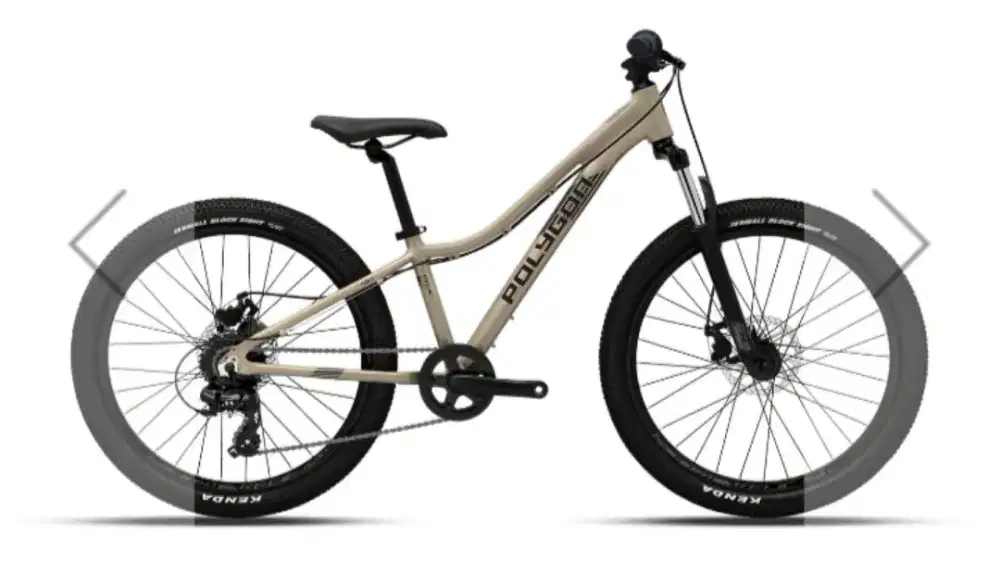 Polygon Sepeda MTB Junior Relic 24