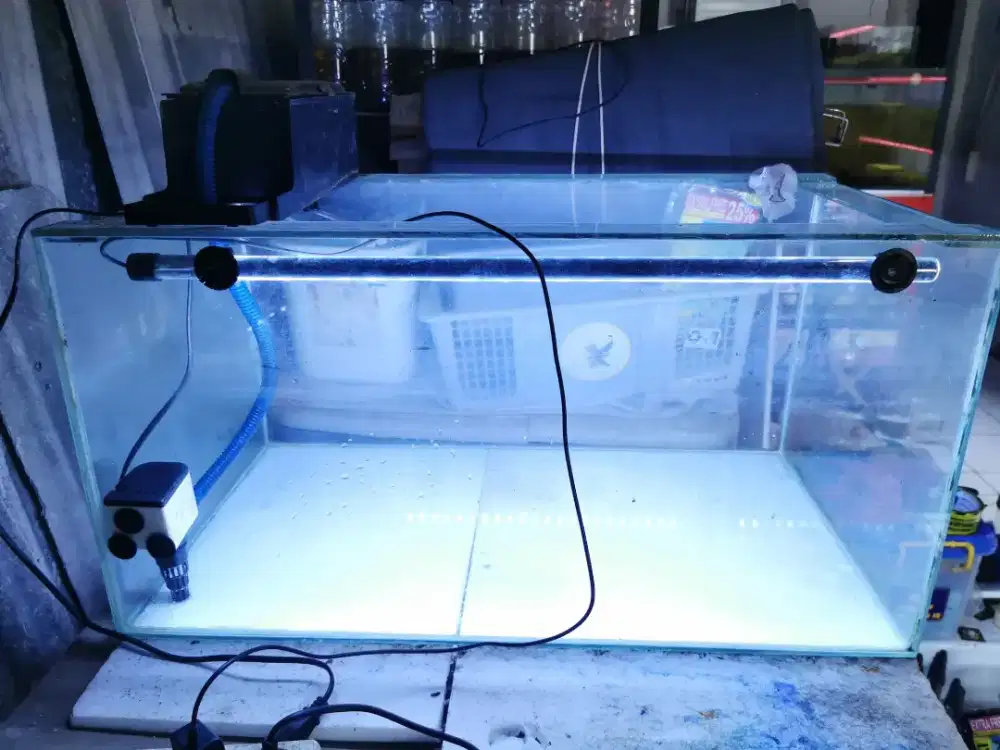 Aquarium akuarium 70x40 1 set dengan filter lampu