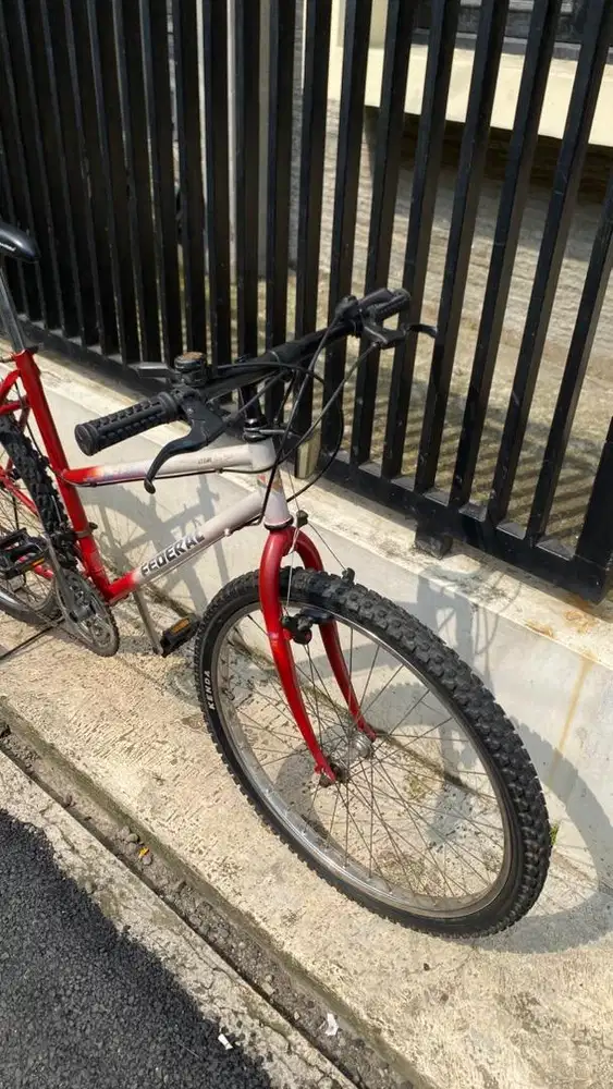 SEPEDA FEDERAL LADY STRAY CAT SS