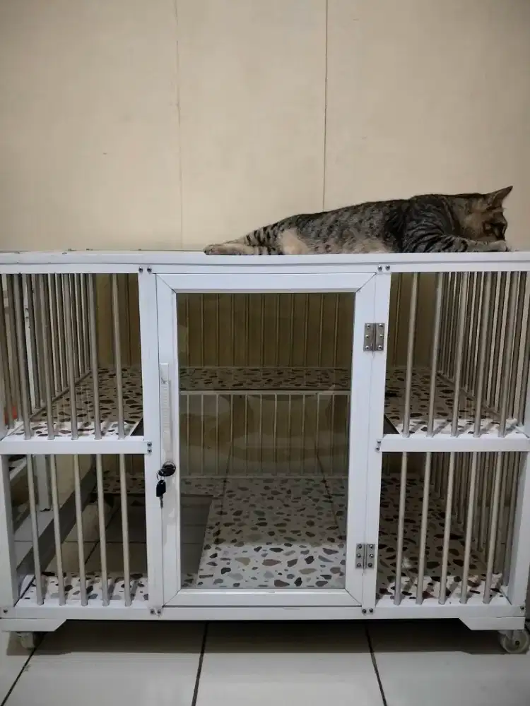 Kandang Kucing Bekas