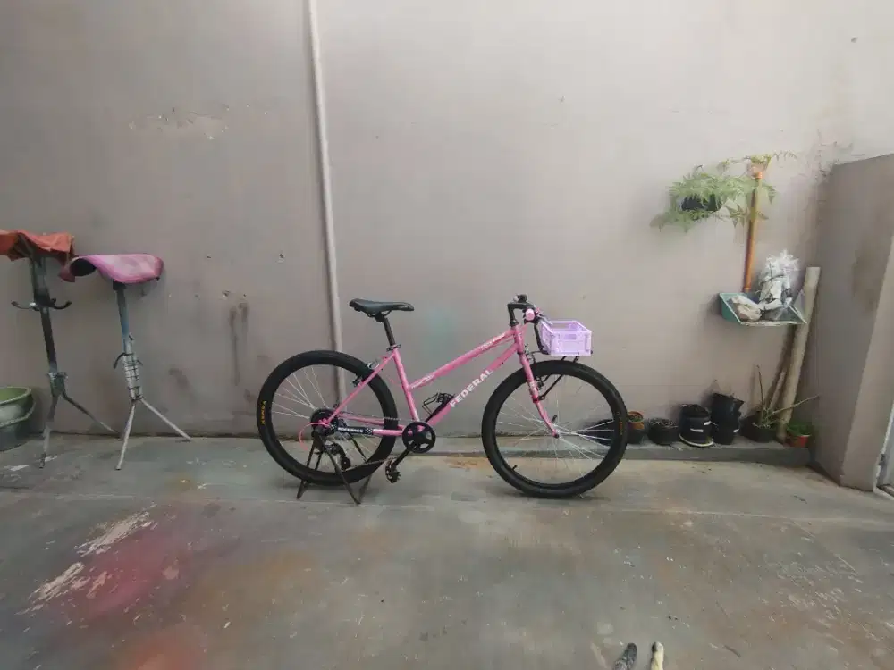 Sepeda Federal Lady Muddy Cat