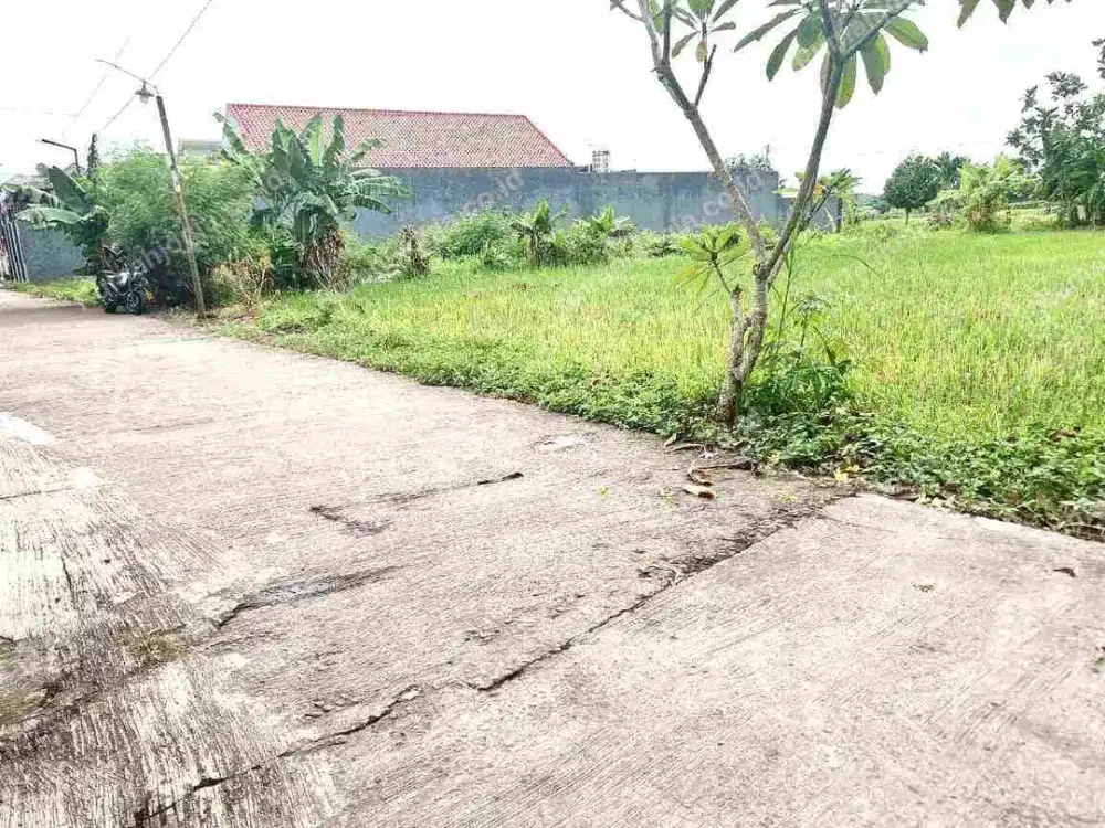 tanah sangat strategis Berbah Kalitirto cocok untuk hunian