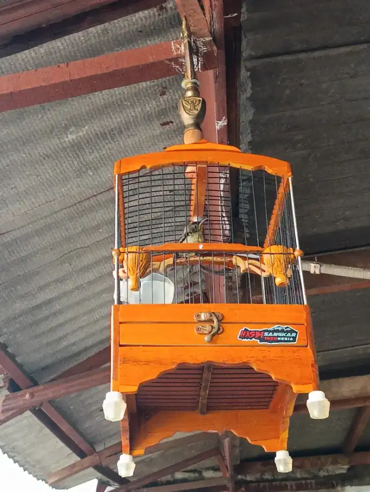 Kolibri trotol Natuna fullset